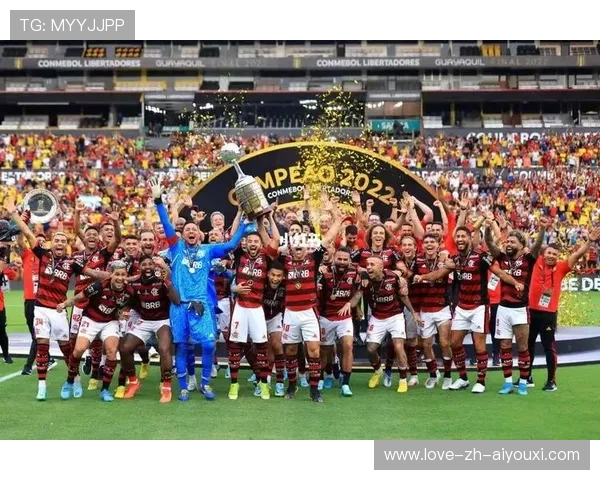 足球南美解放者杯长距离吊射令人叫绝