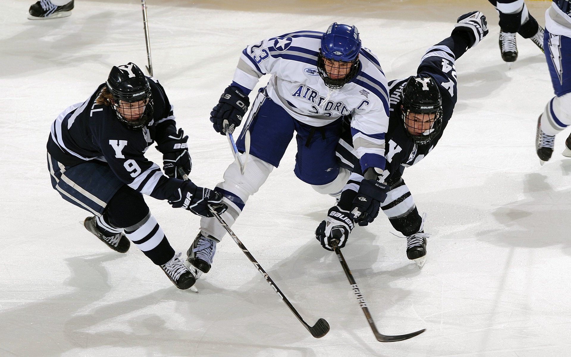 国际马联发布2026年马匹福利规范 加强赛事监管